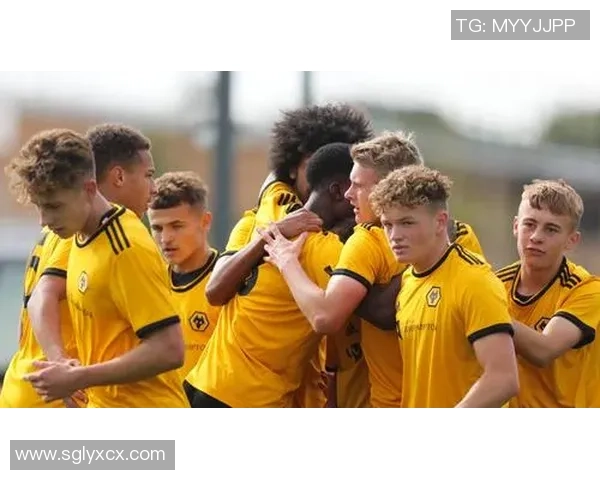 狼队与诺维奇激战正酣精彩直播全程回顾与分析 狼队与诺维奇激战正酣精彩直播全程回顾与分析