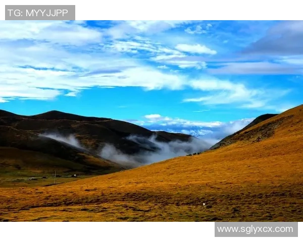 萨林杰的文学世界探秘：从孤独到自我救赎的心灵旅程