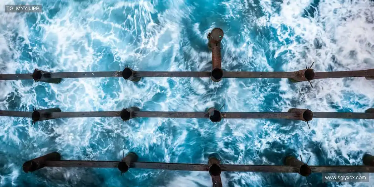 运动装备,你的专属战衣!👟