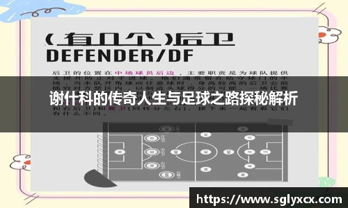 谢什科的传奇人生与足球之路探秘解析